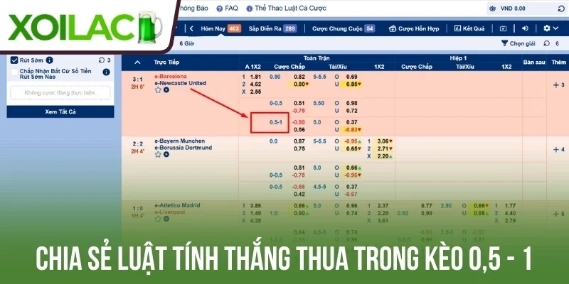 Chia sẻ luật tính thắng thua trong kèo 0,5 - 1