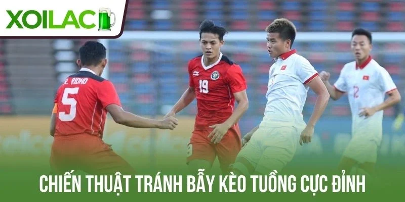 Chiến thuật tránh bẫy kèo tuồng cực đỉnh