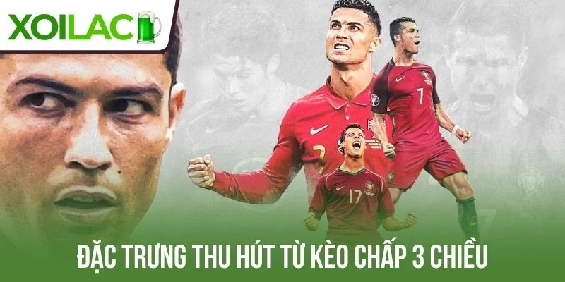 Đặc trưng thu hút từ kèo chấp 3 chiều 