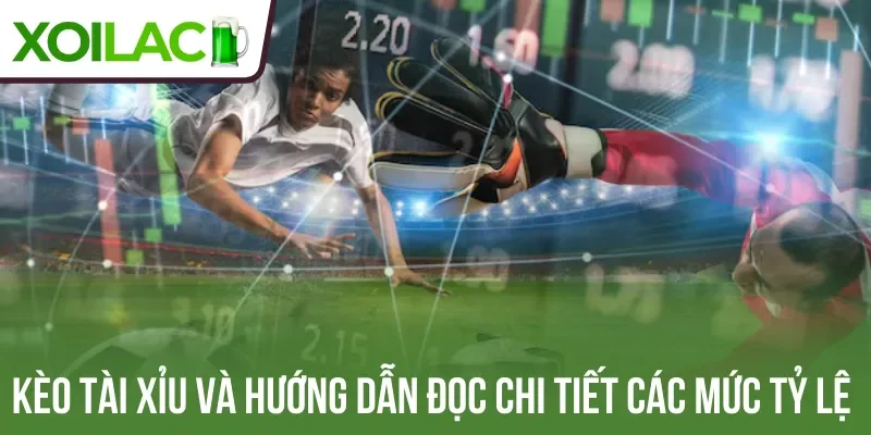 Kèo tài xỉu và hướng dẫn đọc chi tiết các mức tỷ lệ 