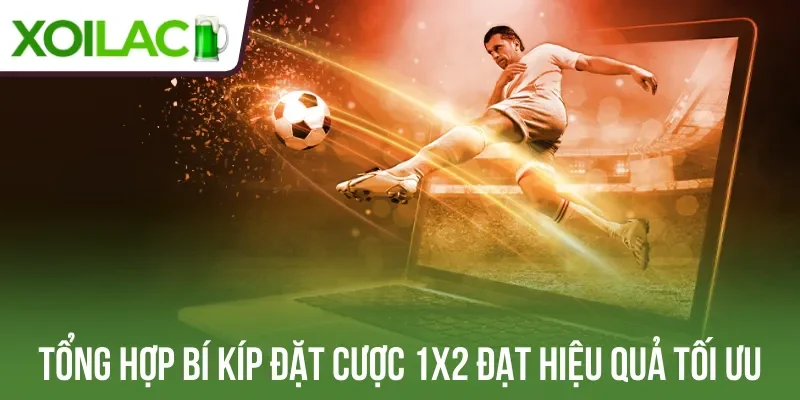 Tổng hợp bí kíp đặt cược 1X2 đạt hiệu quả tối ưu