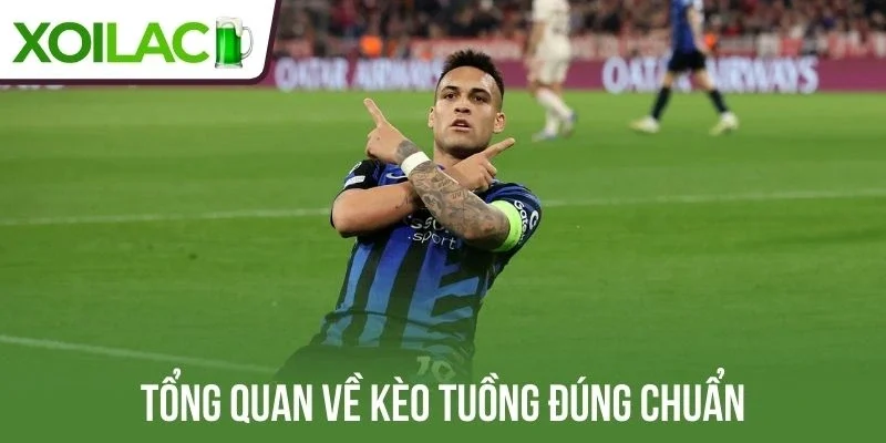 Tổng quan về kèo tuồng đúng chuẩn