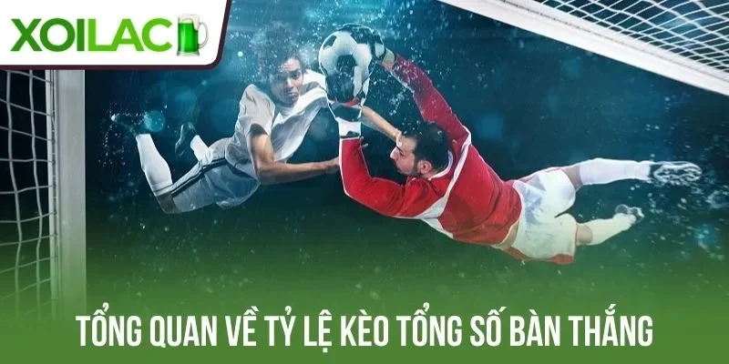 Tổng quan về tỷ lệ kèo tổng số bàn thắng