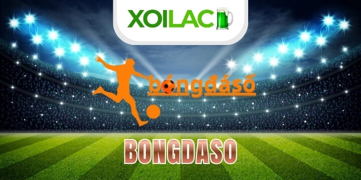 Bongdaso - Theo dõi kèo đấu, kiếm thưởng bóng đá nhanh chóng