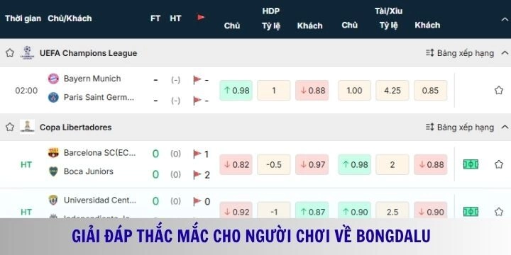 Những lời giải đáp chi tiết về trang Bongdalu