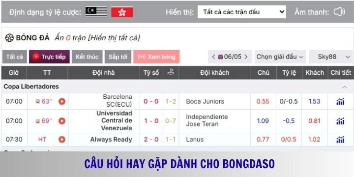 Top câu hỏi và lời giải đáp phổ biến liên quan đến Bongdaso