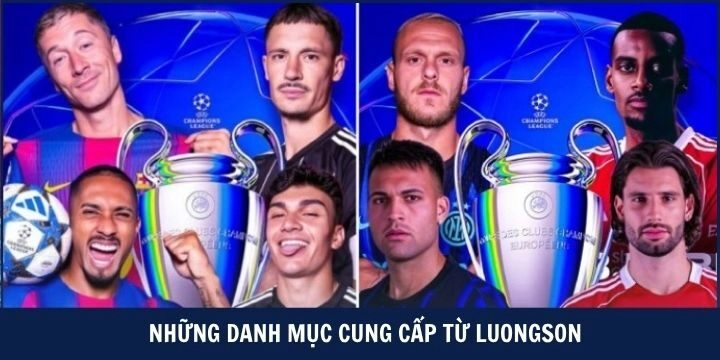 Một số danh mục cung cấp bởi luongson