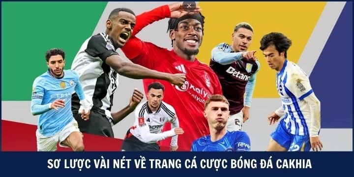 Giới thiệu về trang bóng đá cakhiatv
