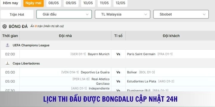 Theo dõi Bongdalu cập nhật giao diện chất lượng hàng đầu