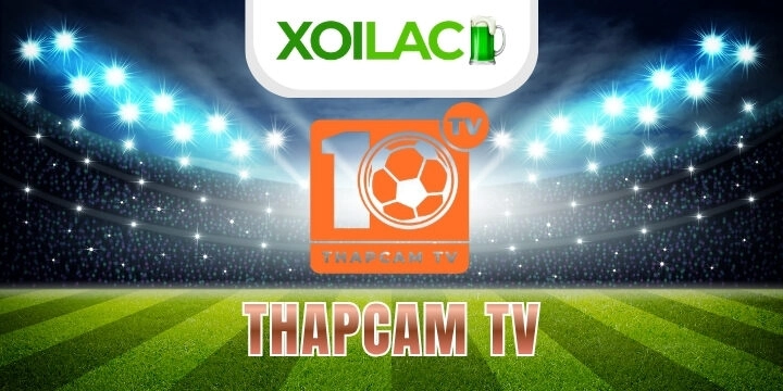 Thapcam - Trang cá cược bóng đá, soi kèo, kqbd cập nhật chính xác 